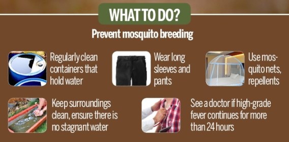 Dos for mosquito born diseases