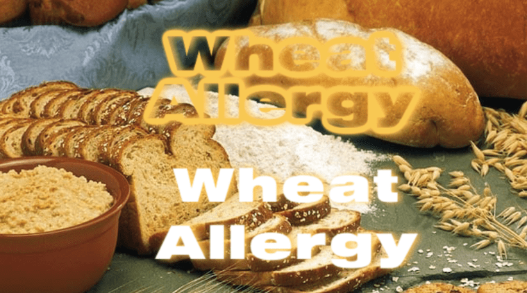 Wheat Allergy